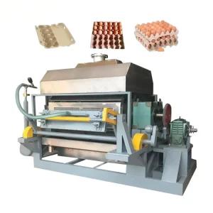 1000-3000 Pcs Egg Tray Production Line Paper Pulp Molded Egg Tray Making Machine