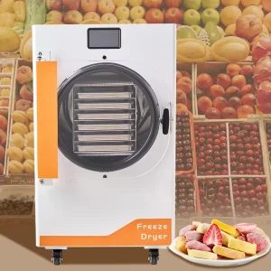 110V 10 kg Fruit Freeze Dryer Home Vacuum Freeze-Drying Machine for Strawberries