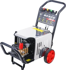 2.2kW/3kW High Pressure Car Washer 100 Bar Car Wash Machine Automatic Pure Copper Motor Commercial Household Cleaner