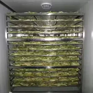 220V PLC-Controlled Oven Drying Box and Kiln for Fruit and Vegetable Food Drying