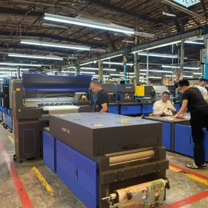 24-Inch 6-Head I3200 Commercial DTF Printer, 9-Color, with Automatic Powder Shaking