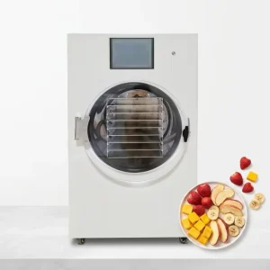 3kg 4kg 6kg 10kg Small Laboratory Vacuum Freeze Dryer for Fruit and Food