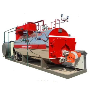 5T/H Wns Industrial Gas Burner Steam Boiler for Garment Ironing Factories