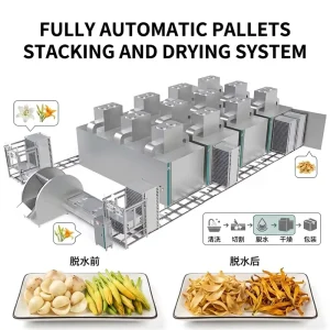 Automatic Food Drying Room and Pallet Stacking Line Stainless Steel Heat Pump Dryer with PLC for Vegetables and Fruits