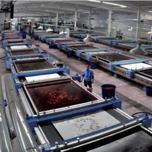 Automatic Magnetic Flat Screen Printing Machine for Textile Dyeing