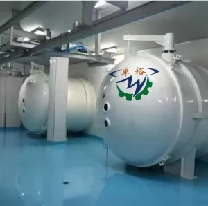 Automatic PLC-Controlled Electric Heating 304 Stainless Steel Vacuum Freeze-Drying Machine for Mango Fruit
