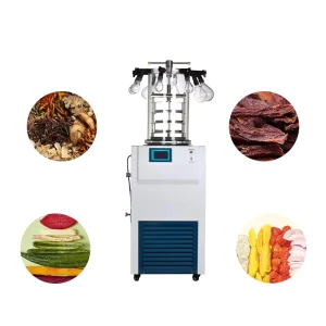 CE Benchtop Mini Freeze Dryer Lyophilizer Machine with Stainless Steel Construction