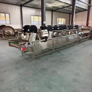 Commercial Air Dryer for Food Preparation, Kitchen Vegetable and Fruit Drying 304 Stainless Steel Conveyor Type