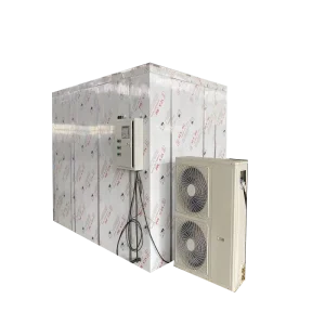 Export Hot-selling Products Industrial Cold Air Drying Room Used for Seafood/Chicken/Meat with PLC Controlled
