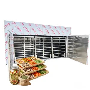 Food Dehydrator for Cassava Chips, Raisins, Garlic and Fruit