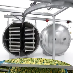Freeze Dried Candy Machine Vacuum Freeze Dryer for Fruit Vegetable and Candy Dehydration
