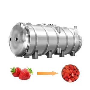 Freeze-Dried Strawberry Food Processing Equipment with PLC Control and Gear Motor