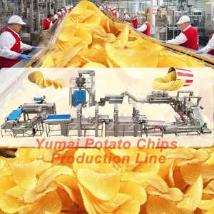 Fully Automatic 100kg/300kg Frozen French Fries Making Machine Potato Chips Production Line