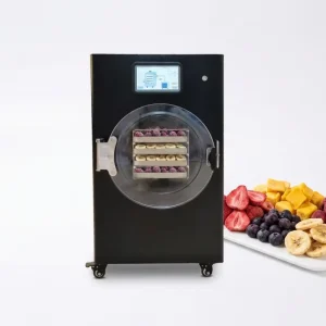 Home and Commercial Stainless Steel Automatic Small Vacuum Freeze Dryer for Food, Fruits and Vegetables