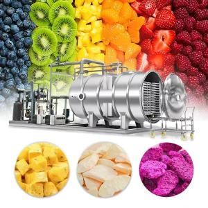 Industrial Freeze-Drying Machine for Food Processing, Large Capacity, SUS304 Stainless Steel, PLC-Controlled Gas Heating