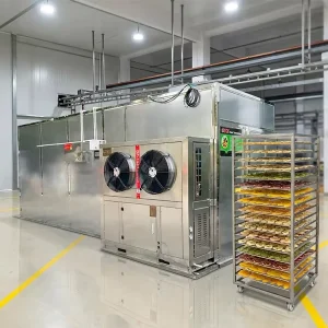 Industrial Mango and Kiwi Fruit Dehydrator Machine