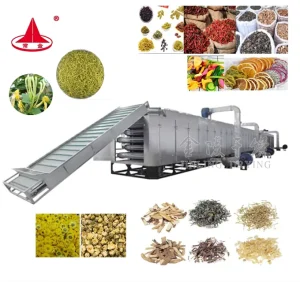 Industrial Mesh Conveyor Belt Dryer Continuous Hot Air Drying Machine for Soybean Coconut Copra Cocoa Peanut