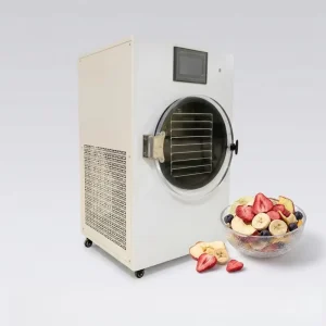 Mini Freeze Dryer and Food Dehydrator for Dried Fruit Home Use