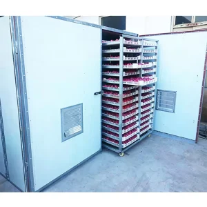 Multi-Tray Drying Oven for Mango Banana Chips and Tropical Fruits Dehydration
