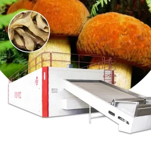 Mushroom Boletus Mesh Belt Dryer and Food Drying Equipment