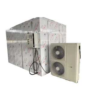 Mushroom and Fruit Air Energy Heat Pump Drying Room for Food Production