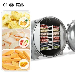 PLC-Controlled Stainless Steel Vacuum Freeze-Drying Equipment