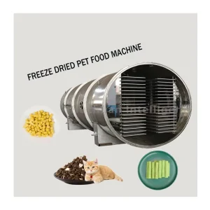 PLC-Controlled Stainless Steel Vacuum Freeze Drying Equipment