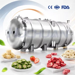 PLC-Controlled Stainless Steel Vacuum Freeze-Drying Equipment