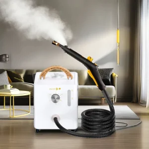 Professional Steam Cleaner and Pressure Washer