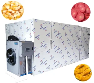 Seed & Vegetable Commercial Food Dryer 220/380V