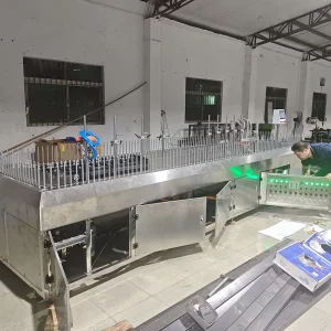 Small Automatic Painting System for Pet Product Accessories Custom Spray Equipment for Pet Supply Manufacturing Process