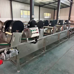 Variable-Frequency Conveyor Air Dryer for Fruit and Vegetables, 304 Stainless Steel